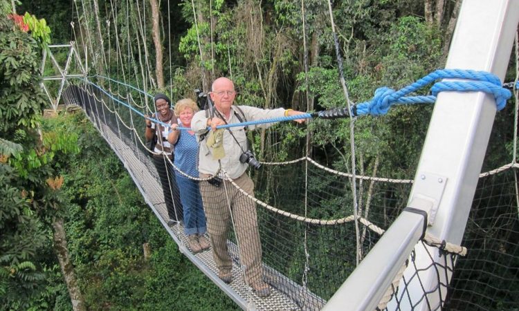 NYUNGWE NATIONAL PARK